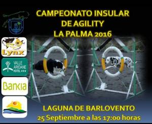 Campeonato Insular de Agility La Laguna de Barlovento 2016