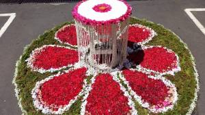 Corpus Christi de Barlovento