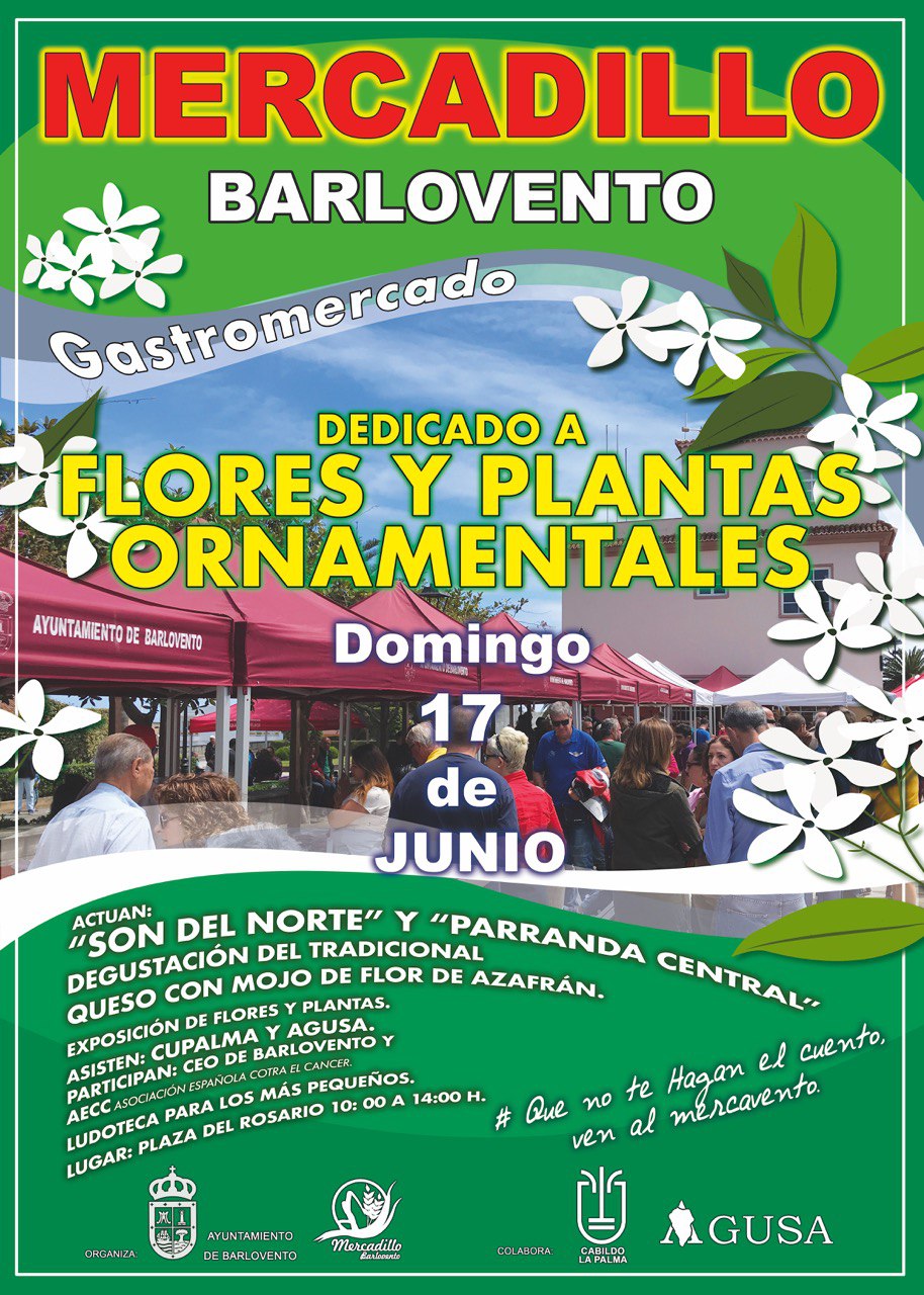 MERCADILLO DE BARLOVENTO CON EXPOSICIÓN Y VENTA DE FLORES Y PLANTAS ORNAMENTALES
