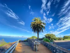 El Mirador de La Tosca - Lugares de interés turístico - Ayuntamiento de Barlovento - La Palma - Islas Canarias