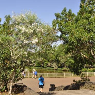 Barlovento acometerá mejoras en el Parque Recreativo de La Laguna por un importe superior a 400.000€