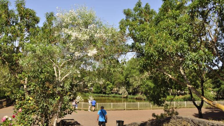 Barlovento pone en marcha la licitación para la renovación del Parque Recreativo de La Laguna