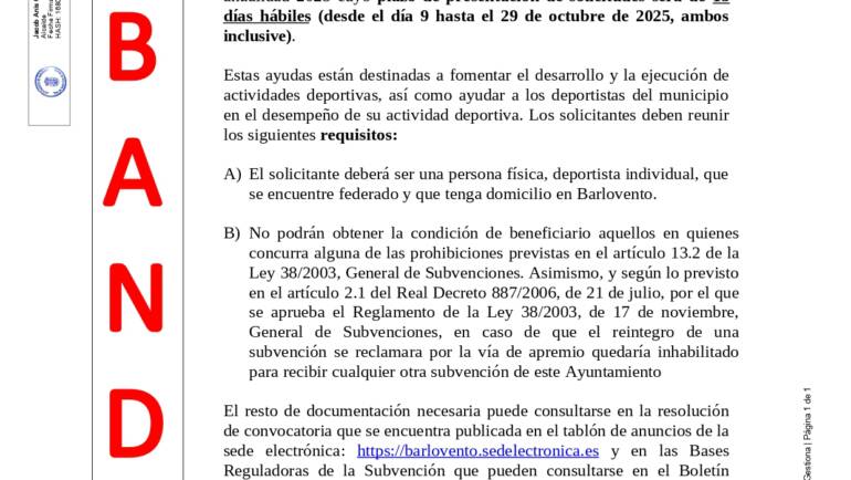 Convocatoria de ayudas a deportistas individuales por concurrencia competitiva. Anualidad 2025.