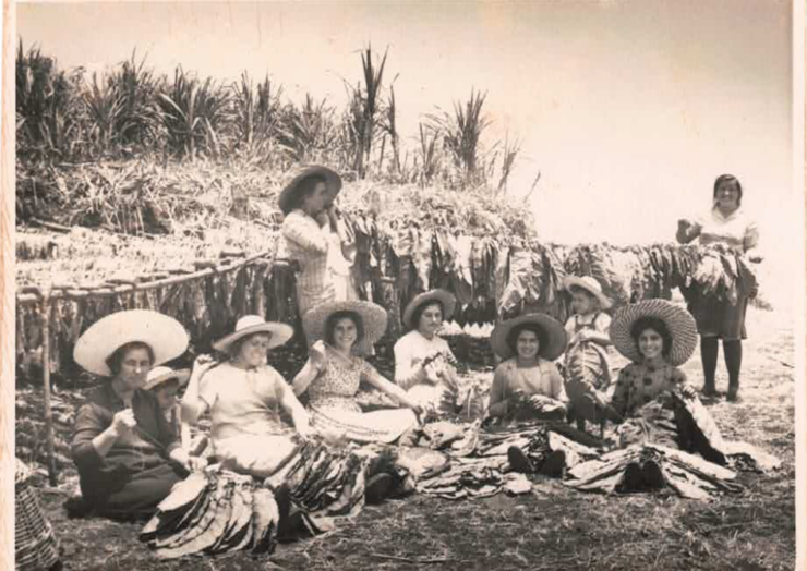 “Mujeres Pioneras” rinde homenaje a las mujeres tabaqueras de Barlovento