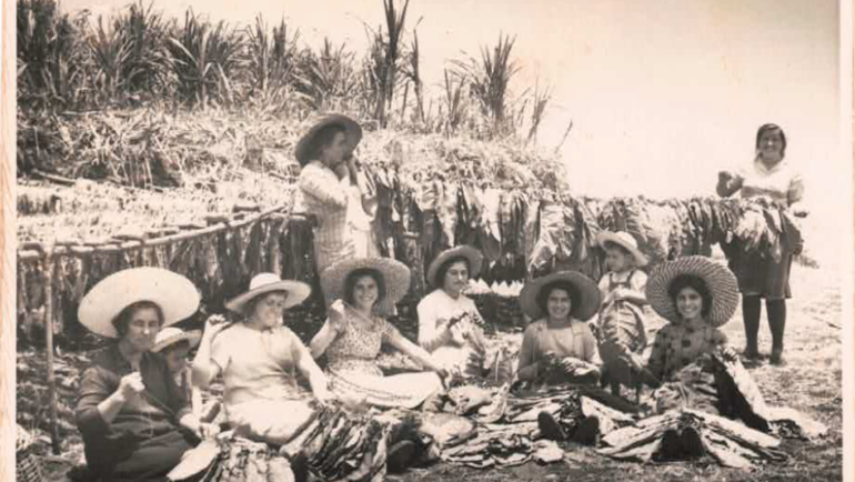 “Mujeres Pioneras” rinde homenaje a las mujeres tabaqueras de Barlovento
