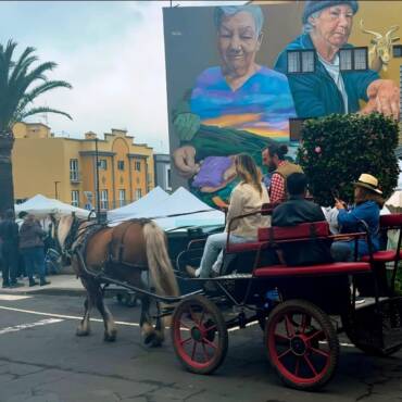 Barlovento celebra el Mercadillo Agrícola y Artesano dedicado a la Feria de Abril el próximo 12 de abril.